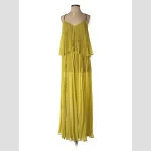 Bcbgmaxazria Joelle Pleated Maxi with tags